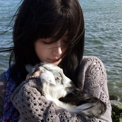 疯狂的麦咭第八季
